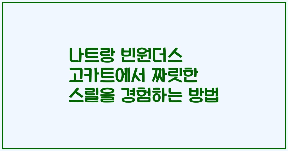 나트랑 빈원더스 고카트에서 짜릿한 스릴을 경험하는 방법