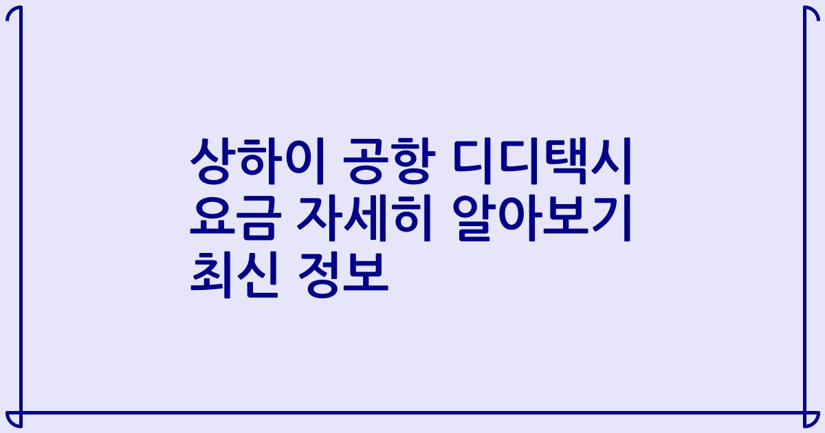 상하이 공항 디디택시 요금 자세히 알아보기 최신 정보